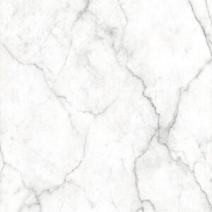FCS059