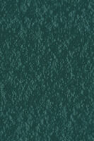 TA507
